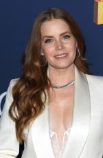 AMY ADAMS at AFI Fest Nightbitch Screening and Q&A in Los Angeles 10/25/2024