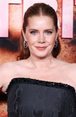 AMY ADAMS at Nightbitch Premiere in Los Angeles 11/20/2024