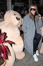 ANNA DELVEY Out and About in New York 11/12/2024