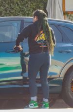 ARYN DRAKE-LEE Out for Grocery Shopping in Los Feliz 11/12/2024
