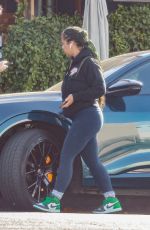 ARYN DRAKE-LEE Out for Grocery Shopping in Los Feliz 11/12/2024