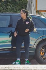 ARYN DRAKE-LEE Out for Grocery Shopping in Los Feliz 11/12/2024
