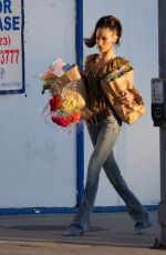BELLA HADID Posed for a Grocery Run on Set of a Photoshoot in Los Angeles 10/31/2024