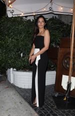 CAMILA ALVES Leaves Chateau Marmont Hotel in Los Angeles 11/09/2024
