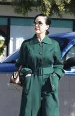 DITA VON TEESE Leaves Pilates Session in Los Angeles 11/22/2024