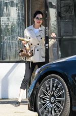 DITA VON TEESE Out and About in Los Angeles 11/15/2024