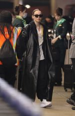 DOVE CAMERON Arrives in Los Angeles 11/19/2024