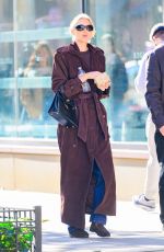 ELSA HOSK Out and About in New York City 11/18/2024