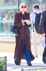 ELSA HOSK Out and About in New York City 11/18/2024