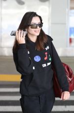 EMILY RATAJKOWSKI Arrives in Los Angeles 11/04/2024