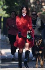 EMILY RATAJKOWSKI on a Dog Walk in New York 11/09/2024
