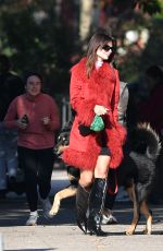 EMILY RATAJKOWSKI on a Dog Walk in New York 11/09/2024