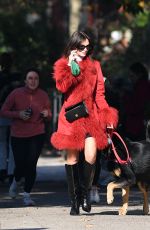 EMILY RATAJKOWSKI on a Dog Walk in New York 11/09/2024
