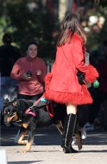 EMILY RATAJKOWSKI on a Dog Walk in New York 11/09/2024