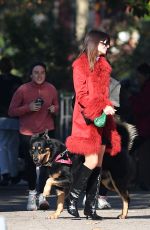 EMILY RATAJKOWSKI on a Dog Walk in New York 11/09/2024