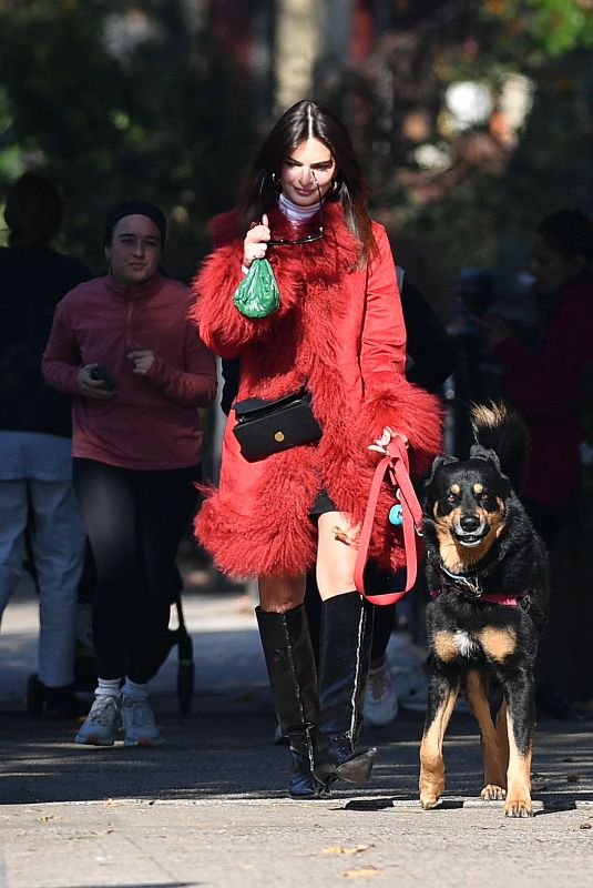 EMILY RATAJKOWSKI on a Dog Walk in New York 11/09/2024