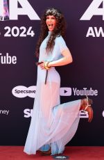 FANNY LUMSDEN at 2024 ARIA Awards at Hordern Pavilion in Sydney 11/20/2024