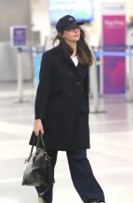 FELICITY JONES Arrives at Airport in Los Angeles 11/19/2024