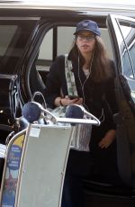 FELICITY JONES Arrives at Airport in Los Angeles 11/19/2024