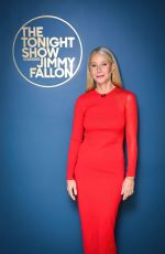 GWYNETH PALTROW at Tonight Show Starring Jimmy Fallon in New York 11/21/2024