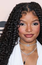 HALLE BAILEY at 3rd Annual Give Her FlowHERS Awards Gala in Los Angeles 11/08/2024