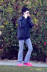 HALSEY Out and About in Los Angeles 11/02/2024