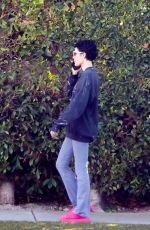 HALSEY Out and About in Los Angeles 11/02/2024