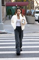HILARIA BALDWIN Out and About In New York City 11/25/2024