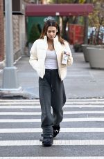 HILARIA BALDWIN Out and About In New York City 11/25/2024
