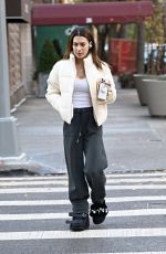HILARIA BALDWIN Out and About In New York City 11/25/2024