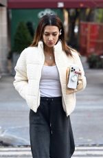 HILARIA BALDWIN Out and About In New York City 11/25/2024