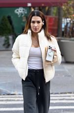 HILARIA BALDWIN Out and About In New York City 11/25/2024