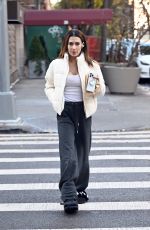 HILARIA BALDWIN Out and About In New York City 11/25/2024