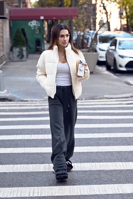 HILARIA BALDWIN Out and About In New York City 11/25/2024