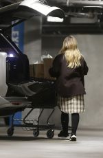 HILARY DUFF Shopping for Groceries at Whole Foods in Los Angeles 11/04/2024