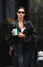 IRINA SHAYK Out weith Her Dog in New York City 11/20/2024