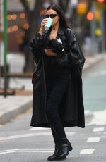 IRINA SHAYK Out weith Her Dog in New York City 11/20/2024