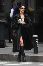 IRINA SHAYK Out weith Her Dog in New York City 11/20/2024