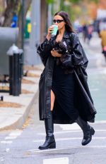 IRINA SHAYK Out weith Her Dog in New York City 11/20/2024