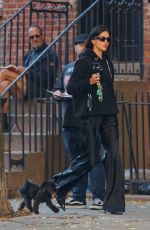 IRINA SHAYK Out with Her Dog Peanut in New York City 11/07/2024