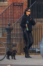 IRINA SHAYK Out with Her Dog Peanut in New York City 11/07/2024