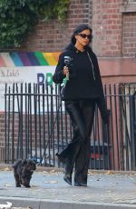 IRINA SHAYK Out with Her Dog Peanut in New York City 11/07/2024