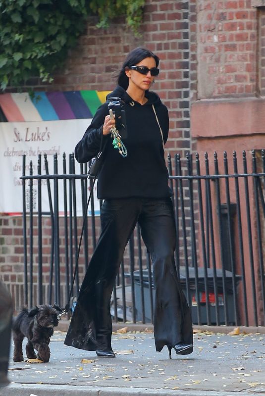 IRINA SHAYK Out with Her Dog Peanut in New York City 11/07/2024