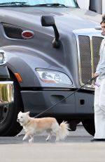 KAIA GERBER Out for a Walk with Her Dog on the Set of Palm Royale in Pasadena 11/05/2024