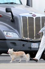 KAIA GERBER Out for a Walk with Her Dog on the Set of Palm Royale in Pasadena 11/05/2024
