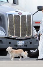 KAIA GERBER Out for a Walk with Her Dog on the Set of Palm Royale in Pasadena 11/05/2024