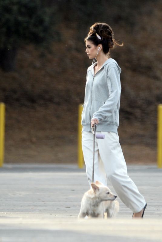 KAIA GERBER Out for a Walk with Her Dog on the Set of Palm Royale in Pasadena 11/05/2024