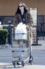 KRYSTEN RITTER Out Shopping for Grocery at Gelson