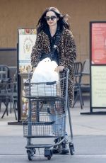 KRYSTEN RITTER Out Shopping for Grocery at Gelson