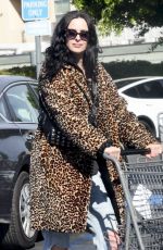 KRYSTEN RITTER Out Shopping for Grocery at Gelson